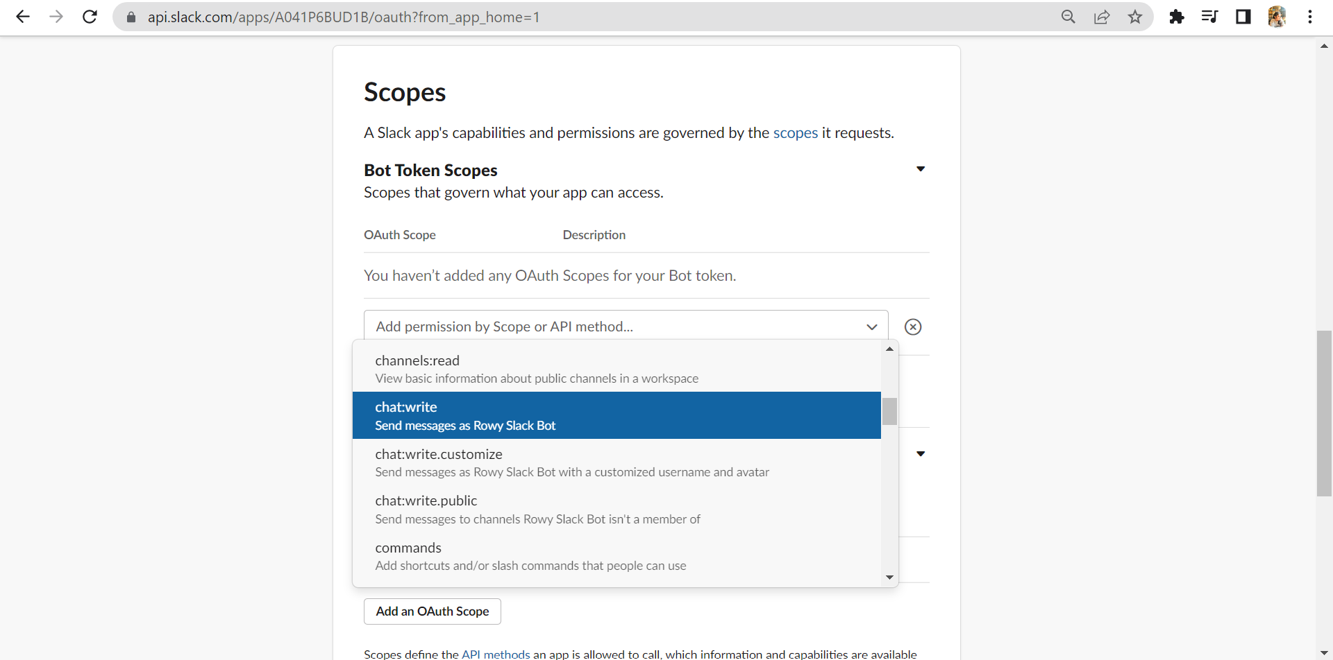 Setting permissions for the Bot.